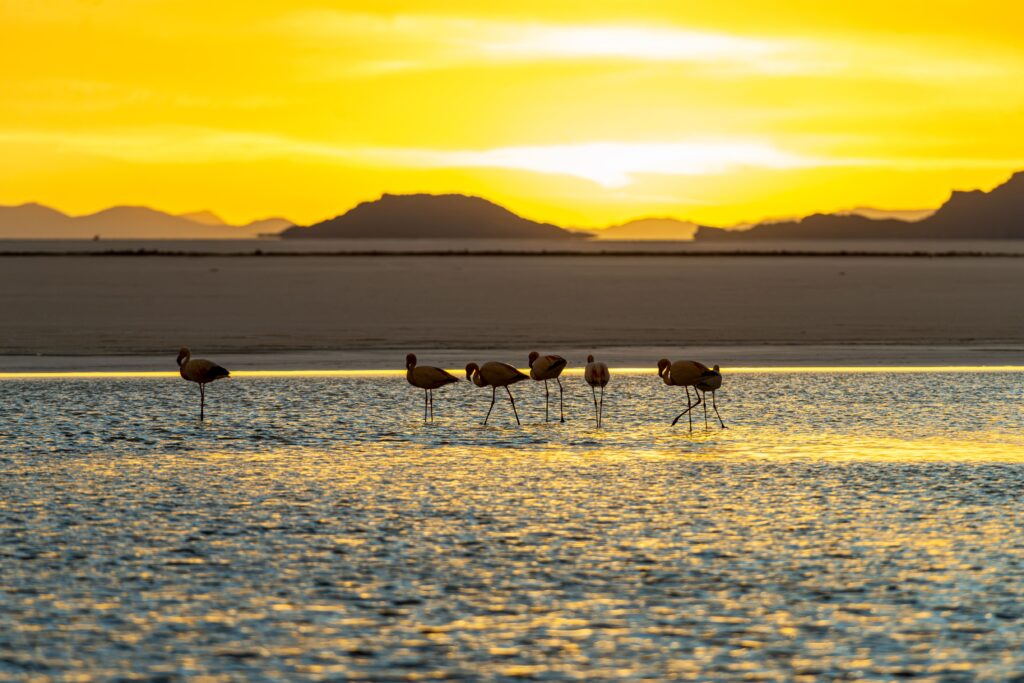 The Andes in Bolivia